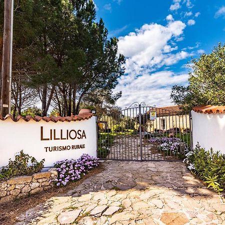 Casa Lilliosa Campavaglio Exterior foto