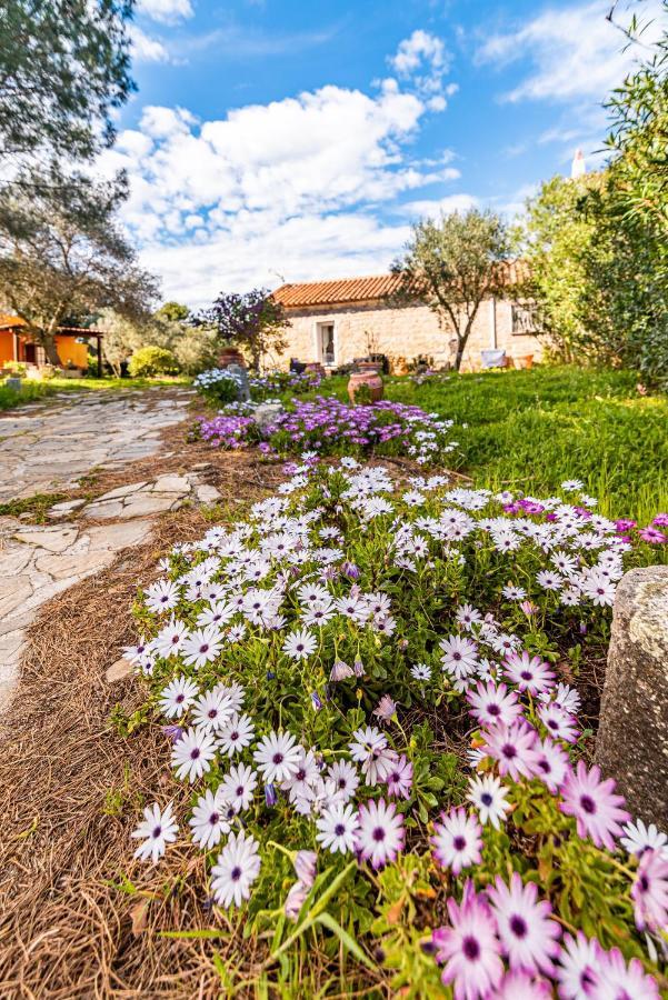 Casa Lilliosa Campavaglio Exterior foto
