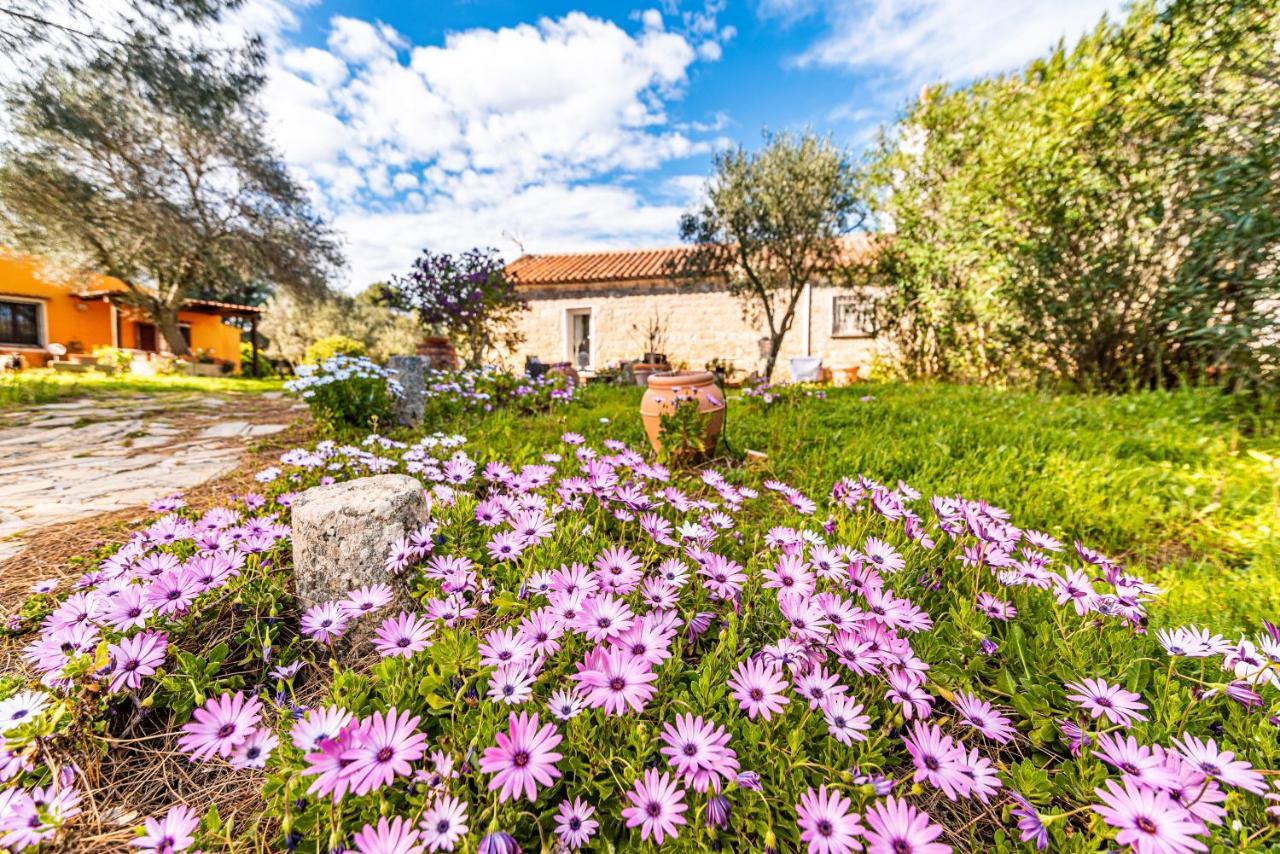 Casa Lilliosa Campavaglio Exterior foto